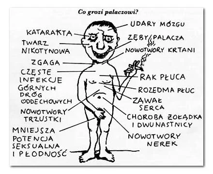 Zdjęcie z galerii